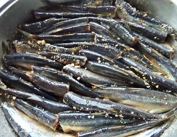 На дно большой формы (у меня цептеровская сковорода) наливаем масло, насыпаем панировочные сухари и ставим ребром рыбку в один слой. Солим по вкусу.