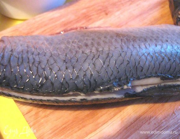 Разделка сельди. Выпотрошить селедку, удалить черную пленку из брюшка, срезать голову. Сделать неглубокий разрез вдоль всего хребта (скальпель, острый нож).