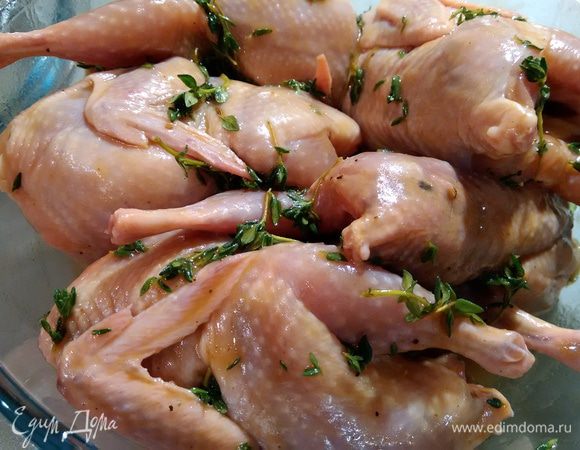 Маринадом натереть перепелок со всех сторон и внутри, поставить в холодильник на час.