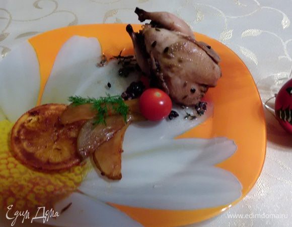 На каждую тарелку выложить кружок карамелизированного апельсина, три ломтика груши и перепелку. Украсить. Я украсила веточкой укропа и помидоркой черри.