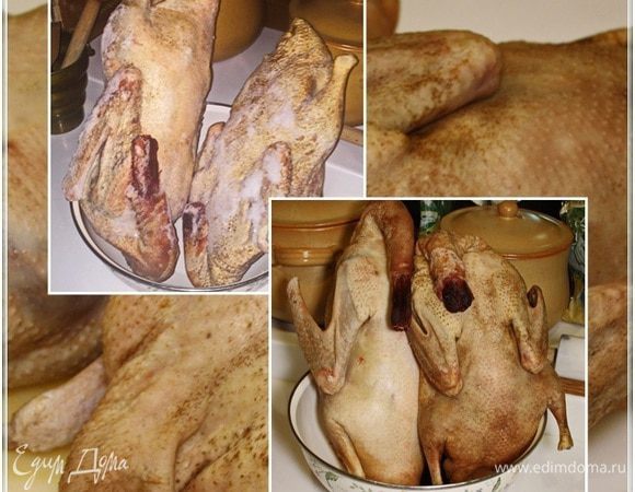 Гусь то у нас, вернее гуси, свои. Со своего, значит, огороду. Но, к сожалению, увы, не парные, лежали в морозилке — ждали своего часа.
Гусей надо разморозить совершенно естественным путем. То есть лучше всего переложить в «просто холодильник» и дождаться, пока птица примет свои естественные кондиции.
Да. Размораживается птица пусть в пакете. Чтобы не пересыхала.

