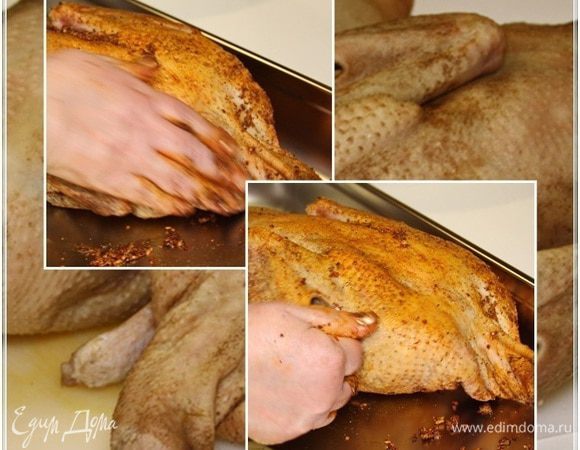 И сделали гусям массаж. С втиранием в их организмы получившейся смеси. Тщательно втирайте, вдумчиво. И снаружи и внутри. 