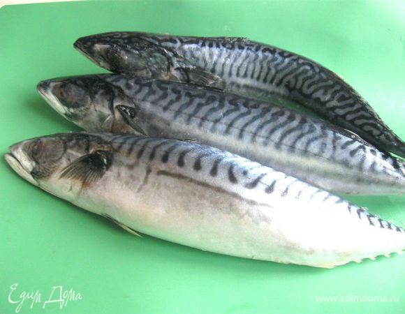 Для приготовления блюда у меня — замороженная скумбрия. Достать скумбрию из морозильной камеры и переложить часов на 5-6 в холодильник (медленное размораживание). Разрезать брюхо острым ножом и выпотрошить. Удалить голову, плавники срезать ножницами.  Промыть холодной проточной водой внутри и снаружи, промокнуть салфеткой.  
