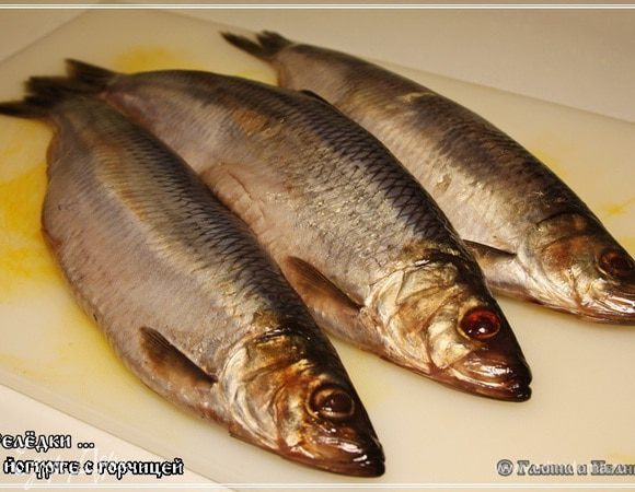 Итак. Берем трех (можете и одну, но, замечу, маловато будет) селёдок. Выбирайте не сильно соленую и пожирнее. Пожирнее – это главное в селедке. А соленость, если вдруг окажется повышенной – не страшно. Йогурт – нам в помощь!