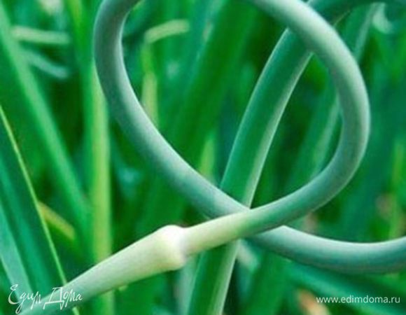 Стрелы промыть и удалить жесткую часть (стрелы сами подскажут). Мягкая часть хорошо обламывается при нажатии, а твердая заламывается.
Подсушить.