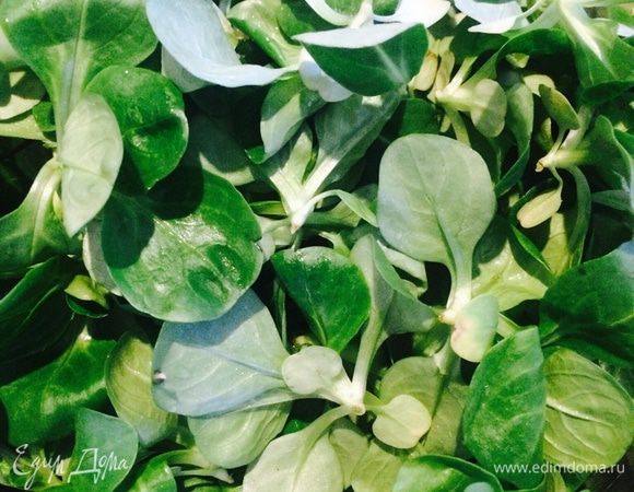 Листья салата хорошо промыть.