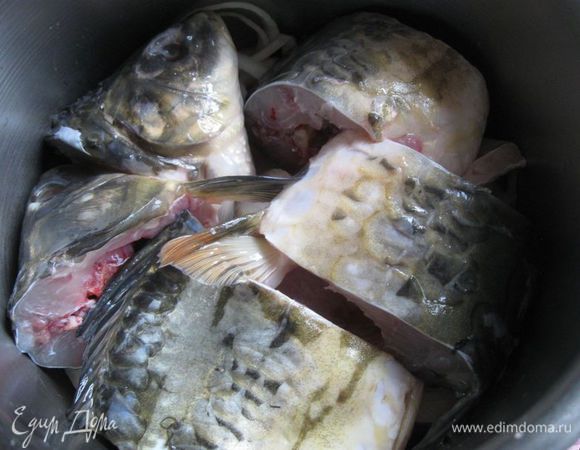 На лук положить две рыбьих головы, несколько кусочков рыбы.