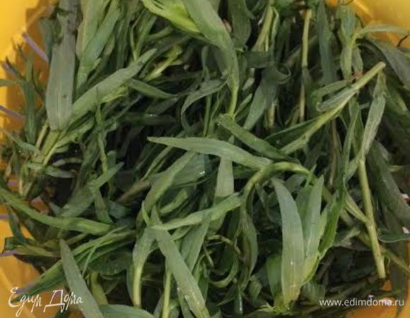 Сейчас тархун молодой, стебли у него мягкие и я его использую целиком.