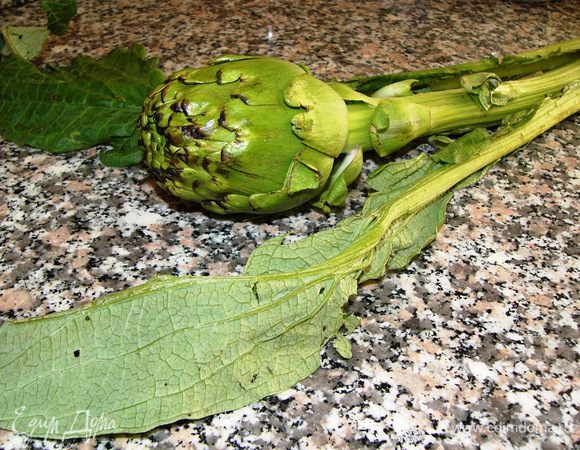 Готовим небольшую порцию на 2-3 человека. Артишок у меня свежий неочищенный. Желательно его пустить в дело немедленно, так как он быстро теряет свои вкусовые качества. В артишоке полезно все: стебель, лепестки, сама сердцевина, которую нам чаще всего можно увидеть в консервированном виде и в рецептах, а также отвар. Ничего не выбрасываем. Лепестки будем готовить наравне с остальными частями.