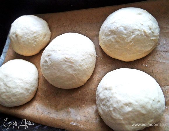 Перенести в форму на пергамент, смазанный маслом, и оставить еще на полчаса.