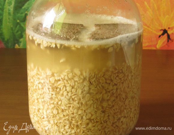 Размалываем овес. В банку (3 л) засыпаем геркулес, овес размолотый, заливаем кипяченой остывшей водой на 2/3 емкости и ставим в темное теплое место на 2 суток.