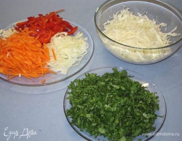 Капусту мелко нашинковать. Щавель и зелень (у меня кинза, петрушка, укроп) вымыть, обсушить и мелко нарезать. Лук, чеснок и морковь очистить. Лук нарезать тонкими полукольцами, морковь — соломкой, чеснок измельчить. Перец нарезать соломкой.