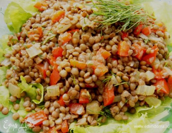 Подавать такой салат красиво и вкусно на листьях салата. Просто вымыть салат и порвать его руками. Сверху выложить теплый салат из чечевицы.
Кушать сразу.