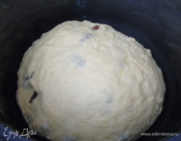 Добавляем изюм и цедру в тесто, хорошо перемешиваем, выкладываем в смазанную сливочным маслом форму мультиварки, даем еще 10 минут отдохнуть, накрыв легким полотенцем.