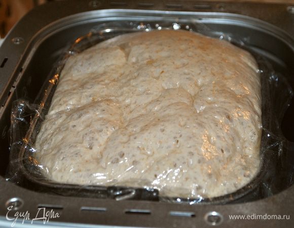 Утром тесто выглядело так.