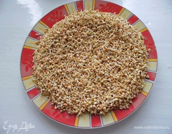 Накануне нужно прорастить зеленую гречку. Для этого ее следует промыть и замочить в воде на 12 часов. После этого промыть ее еще несколько раз под проточной водой, чтобы удалить всю слизь. Накрыть крупу тарелкой либо выложить на какую-то ровную поверхность и укрыть сверху салфеткой. Оставить ее для проращивания при комнатной температуре. Примерно через 12 часов на гречке появятся ростки. Теперь она готова к использованию.