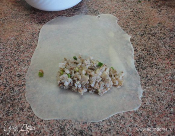 Тесто делим на 14 кусочков. Раскатываем их в прямоугольники. Мука совершенно не нужна. Я раскатывала просто на столе. Видите, какие тонкие, даже прозрачные пласты теста получаются. На каждый выкладываем по полной столовой ложке начинки.