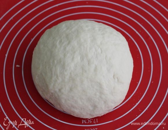 Вымесить гладкое тесто, поставить в теплое место на 1-1,5 часа.