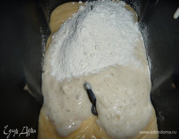 Опара готова. Замес теста сделала в Х/П, процесс длится 90 мин.,режим "тесто". В ведерко для Х/П выложить творожную смесь, опару и муку. Муку лучше вводить частями при замесе, т. к. ее кол-во зависит от качества творога, его влажности. У автора рецепта муки ушло 360 г, а у меня 500 г., т. к. творог у меня очень жидкий, в его состав  входят сливки.
Если вы производите замес в ручную, нужно выложить тесто на присыпанный мукой стол и вымешивать его, постепенно добавляя муку. Должно получиться мягкое тесто.