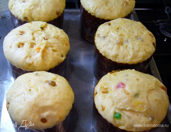 Смазать формы маслом или использовать бумажные формы для выпечки.
Разложить тесто до половины объема формы. Оставить подходить на 1 ч. Тесто – просто живое, дышащее, легкое. Подходит замечательно!
Разогреть духовку до 160°C. Выпекать куличи до золотисто-коричневого цвета.
Остудить на боку.
