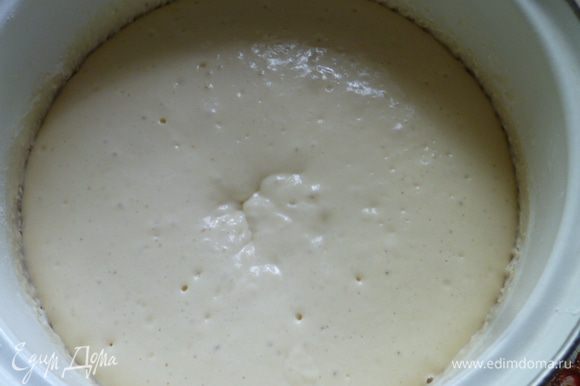 Оставшееся теплое кипяченое молоко вылить в опару и добавить просеянной муки столько, чтобы тесто было, как на оладьи. Ставим в теплое место для подхода. И вот опара подошла.