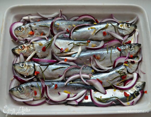 А вот и салака, которую не задолго до корюшки я готовила подобным образом.