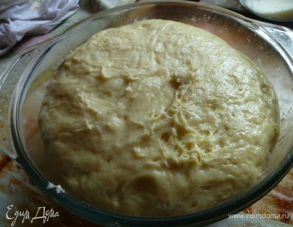 Через 2 часа мое тесто выросло до краев.