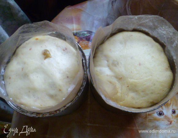 2 куличика сделала в больших жестяных банках от тушенки, дно и бока которых застелила пергаментом и смазала растительным маслом.
Тесто также выкладываем на 1/3 часть от объема форм, так при подходе и выпекании оно сильно поднимается.