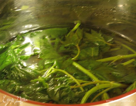 Моем крапиву и отвариваем 2 минуты, опускаем в холодную воду.