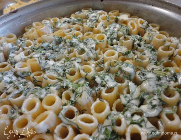 Тортильони «поставить» (для удобства слегка наклонив форму) в разъемную форму диаметром 20-21 см. Если взять больше, то просто не хватит пасты. Творожный сыр смешать с зеленью и яйцом и выложить на пасту.