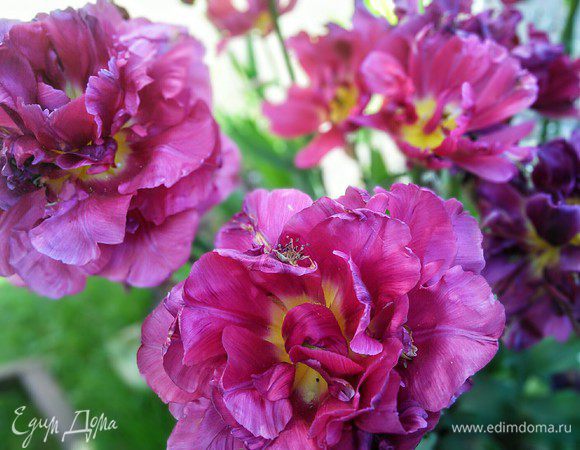 Поздравляю всех с Днем Победы!!! 