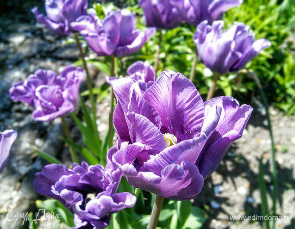 И хорошего настроения! 