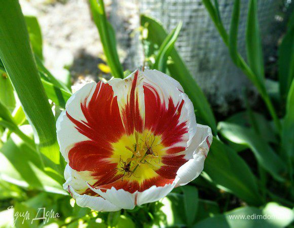 И хорошего настроения! 