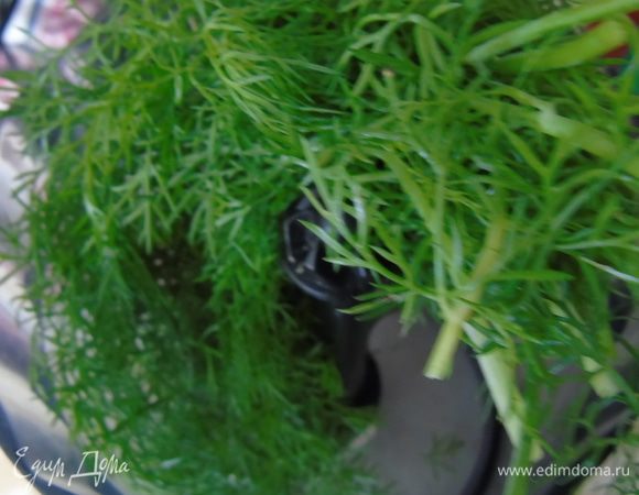 Фенхель моем и отправляем в блендер.