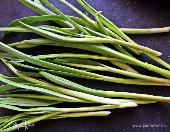 Чеснок я брала зелень, вот такие ростки. Они менее ядреные, чем сам чеснок.