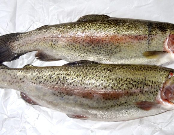 Как выбрать свежую форель? Визуально рыба должна выглядеть, словно только что выловленной из моря. Скрученный и засохший хвост считается одним из главных признаков длительного хранения форели. Чешуя должна быть равномерной и быть без повреждений. Жабры должны быть нежно-розового цвета, без слизи, глаза прозрачные, тушка без вздутий и запаха — такую рыбку смело можно покупать! Рыбу почистить, удалить жабры, промыть и просушить салфеткой. 