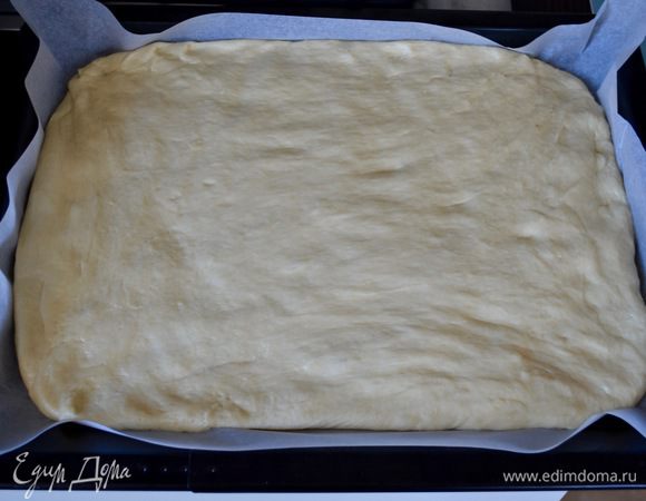 Стандартный противень застелить бумагой для выпечки.
Тесто не вымешиваем, не обминаем, а сразу распределяем по противню руками, "припудренными" мукой или слегка смазанными маслом. Оставить тесто еще на 30 минут в теплом месте для подъема.