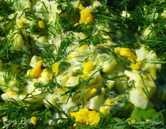 Очищаем яйца от скорлупы, измельчаем. Добавляем к зелени, солим, добавляем майонез и аккуратно перемешиваем. 