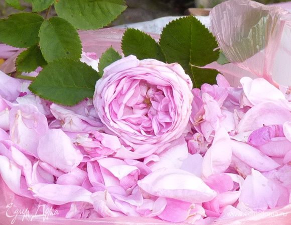 Отделите лепестки роз от бутонов. Цветы розы должны быть полностью созревшими, яркими и ароматными. 