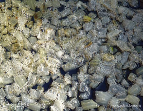 Репчатый лук крупно порезать и поджарить до прозрачности.