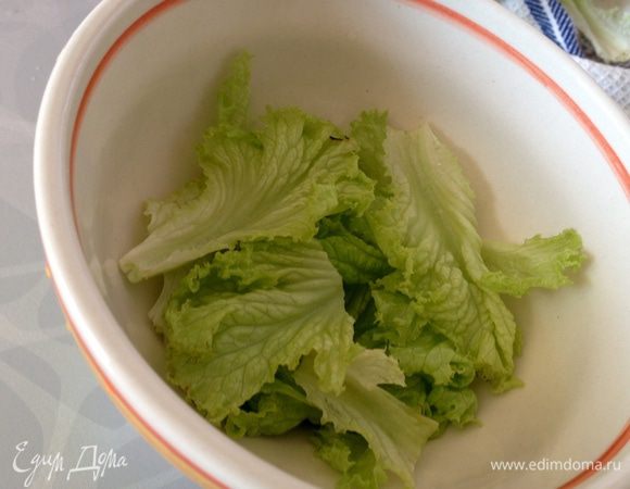 Листья салата вымыть, обсушить и нарвать в тарелки.