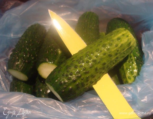 Огурцы помыть, срезать концы и проколоть ножом по середине. Сложить огурцы в полиэтиленовый пакет.