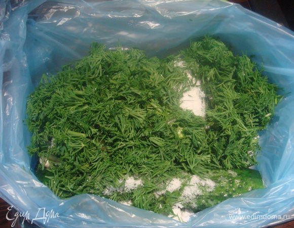 Добавить укроп и чеснок. Пакет завязать (для герметичности я положила в два пакета и подставляла тарелку), хорошо стряхнуть и поставить в холодильник.