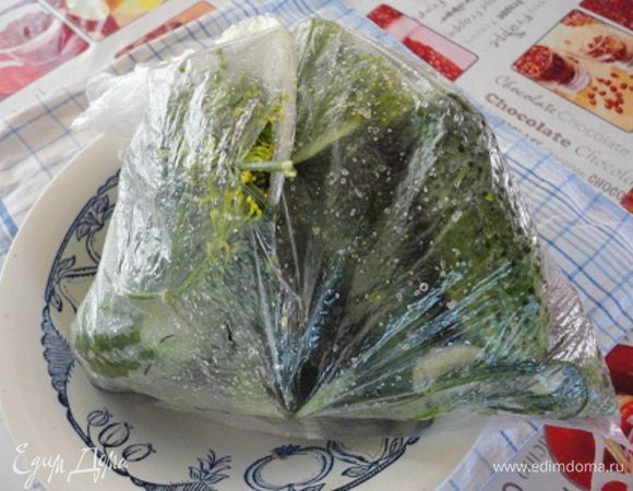 Все помещаем в целлофановый пакет, встряхиваем. Затем помещаем еще в один пакет, т.к. первый обычно где-нибудь рвется. И оставляем на 2-3 часа при комнатной температуре.