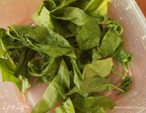 Шпинат хорошо промыть и просушить.