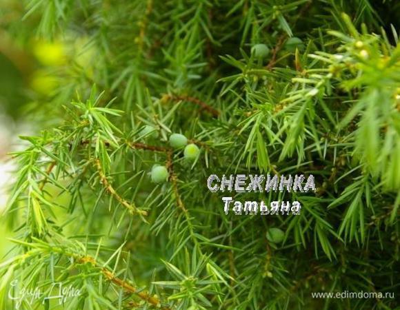 Далее подготовим специи. Можжевеловые ягоды растут на дереве весной. Вот такие они зеленые, потом, когда созреют, становятся темно синими. После сбора я их засушиваю.