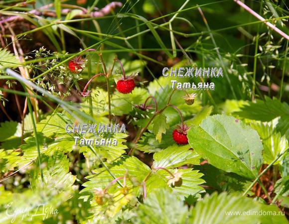 Вот такую прелесть мы собрали в лесу, очень большая земляника и такая ароматная!