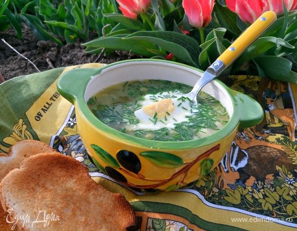 Измельчить щавель, добавить в борщ вместе с измельченными яйцами и  проварить еще 2 мин. Готово! Подавать со сметаной и четвертинкой яйца. Украсить зеленью. 
Приятного аппетита!!