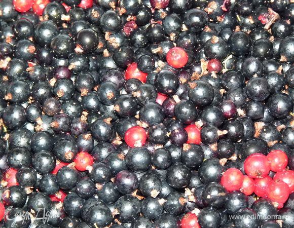 По мере созревания добавлять ягоды: чистую смородину добавить в банку и залить водкой.