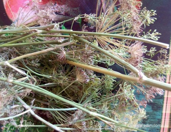 Понадобится укроп, 4 стебля обязательно с зонтиками. Если нет свежих зонтиков, можно использовать сушеное семя укропа в сочетании со свежим укропом.